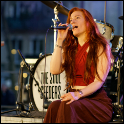 The Soul Seeders