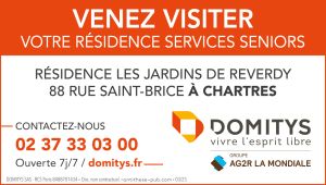 Domitys