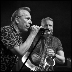 Alain Chennevière et les Alligators