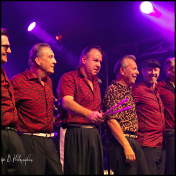 Alain Chennevière et les Alligators