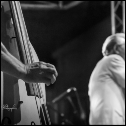 Alain Chennevière et les Alligators