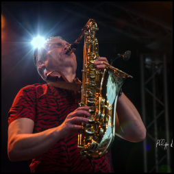 Alain Chennevière et les Alligators