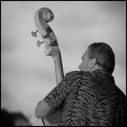 Alain Chennevière et les Alligators