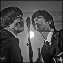 Help ! A Beatles tribute