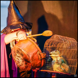 La Sorcière Marie Covert