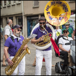 Les Métronosiques - Déambulation
