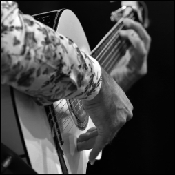 The World of Gypsies