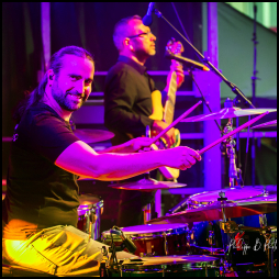 The World of Gypsies