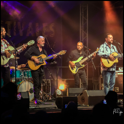 The World of Gypsies